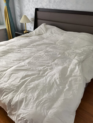 拉芙菲尔YYY01204选购攻略需注意细节