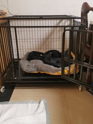  狗笼