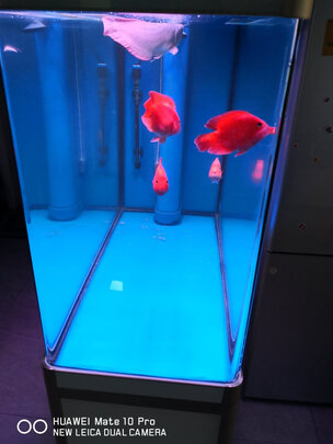 鱼缸净水剂