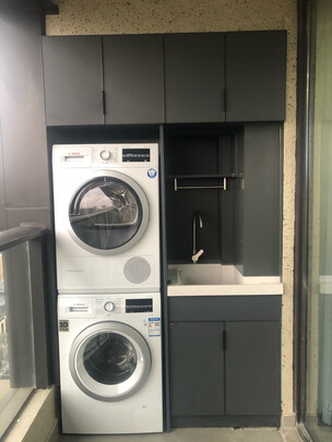 博世XQG90-WGA242Z01W洗烘套装|博世XQG90-WGA242Z01W洗烘套装到底怎么样，参数如何！