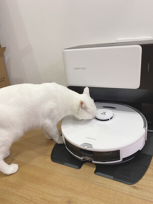 石头G10选购容忽然的三大要点