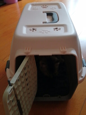 猫包