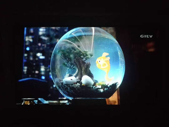 坚果O1 Pro选择五大雷区要慎重