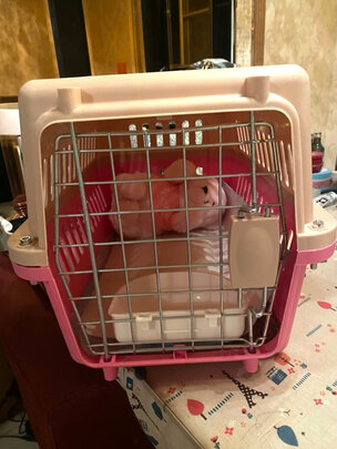 宠物航空箱