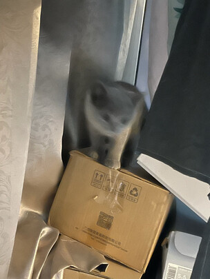 膨润土猫砂
