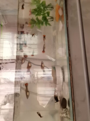 鱼缸过滤器