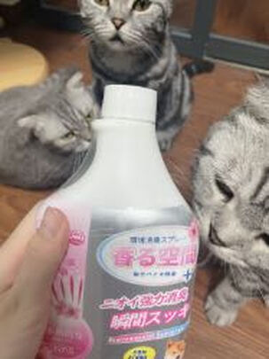 狗狗除臭剂