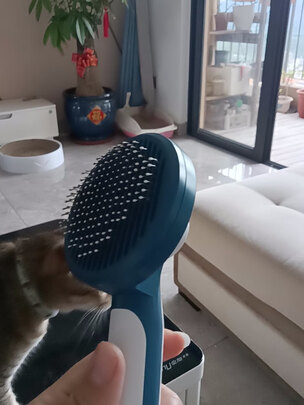 狗毛猫毛清理器