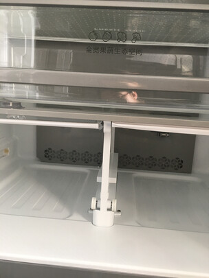 容声BCD-451WD11FP一个月后开始后悔了诉说原因