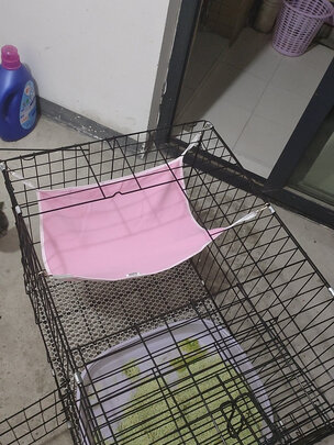  猫笼