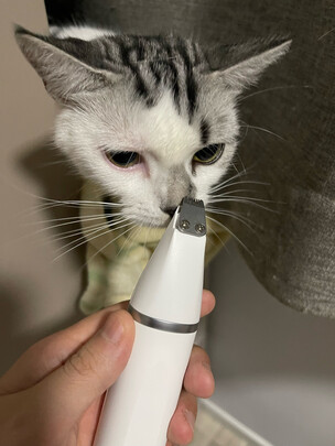  狗狗电推剪