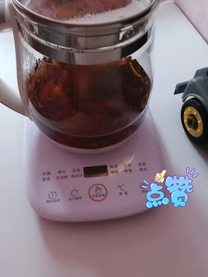 九阳（Joyoung）养生壶1.5L茶具电茶壶煮茶壶花茶壶玻璃煮茶器煎药壶中药锅药膳电水壶烧水壶 超高性价比断货王