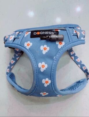 狗狗牵引绳