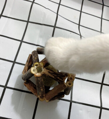逗猫棒