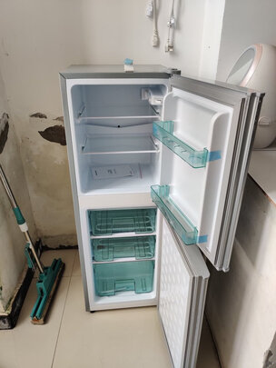 日普（RIPU）118升双门迷你小冰箱家用两门电冰箱小型节能省电低音（下冷冻3独立抽屉）一级能效BCD-118D
