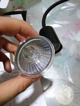 乌龟晒背灯泡
