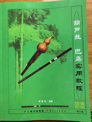 乐器葫芦丝