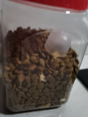 狗粮