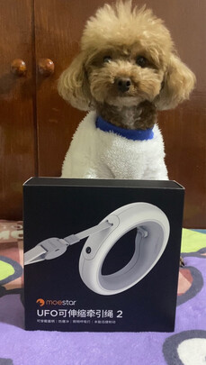 狗绳