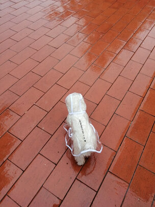 狗狗雨衣