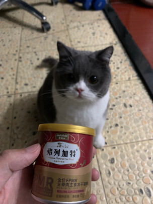 猫粮
