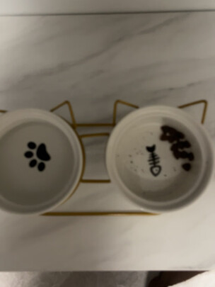猫碗狗碗