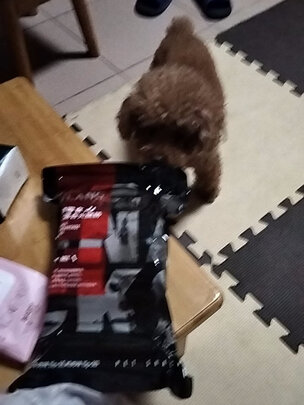 狗狗零食