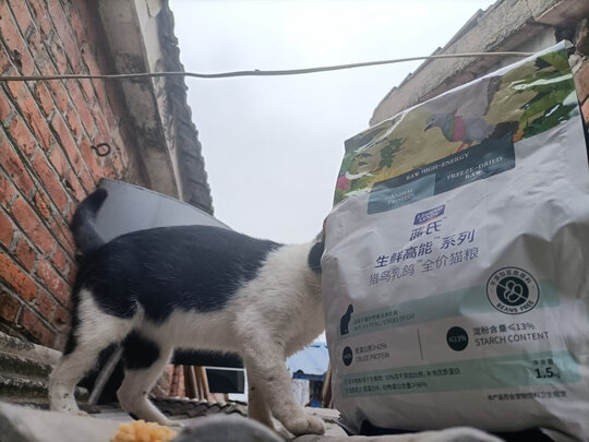 猫粮