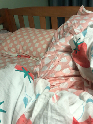 网易严选95%高纯白鹅绒羽绒被 升级防螨选择五大雷区要慎重