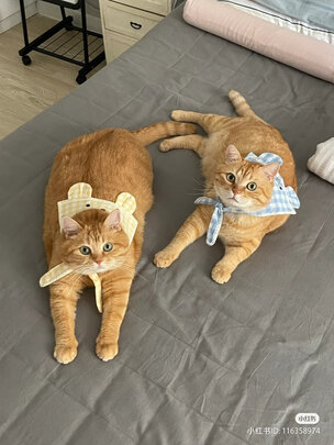 ThinkPadThinkBook|ThinkPadThinkBook 15P笔记本电脑独家揭秘评测真相,不看后悔!