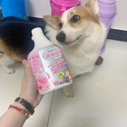 狗狗除臭剂