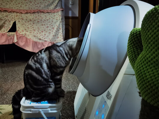 猫砂铲