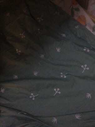 京东京造90%知芯白鸭绒被极度喜欢感受反馈