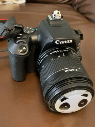 佳能(canon)佳能200d二代单反相机好不好用?用过的推荐个型号吧!
