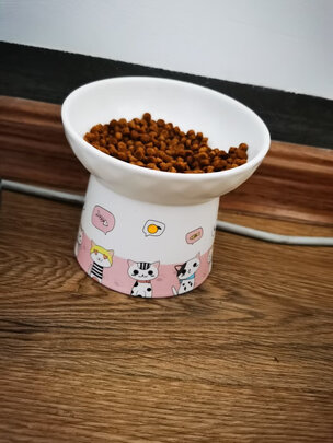 猫碗狗碗
