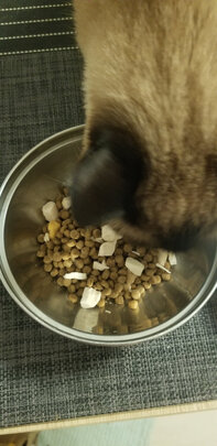猫粮
