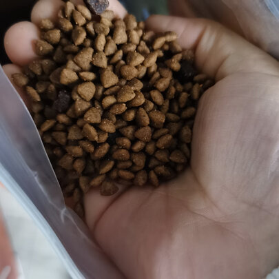狗粮