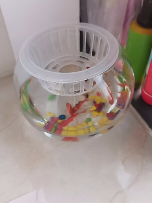 桌面鱼缸