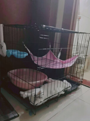 猫笼