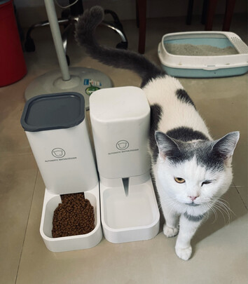 宠物自动喂食器