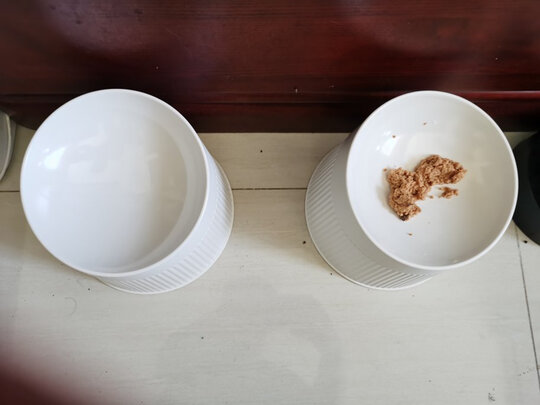 猫碗狗碗