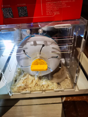 仓鼠浴沙