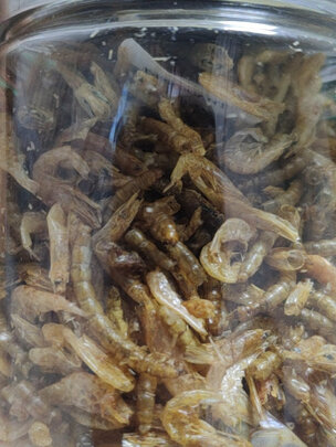 龟粮饲料