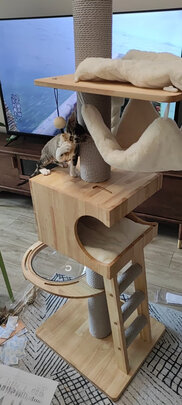 猫爬架