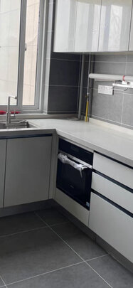 蒸烤一体机|西门子CS289ABS0W 蒸烤一体机好吗？图文评测曝光