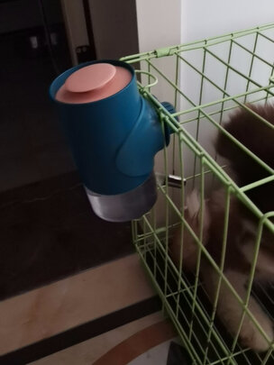宠物饮水机