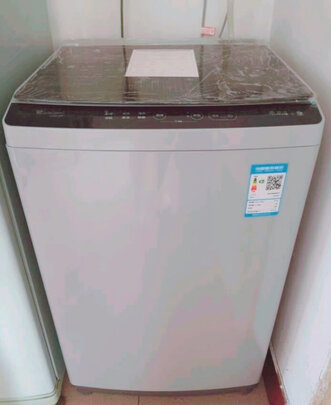 小天鹅（LittleSwan）10公斤 波轮洗衣机全自动 健康免清洗 品质电机 TB100V23H 新升级除螨洗