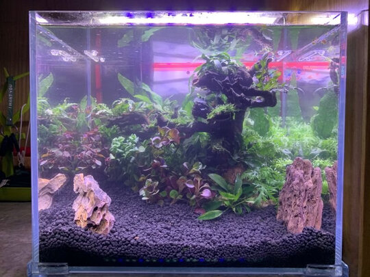 水草泥