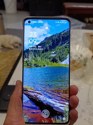 OPPO Find X3 Pro 骁龙888 5000万双主摄IMX766 10亿色臻彩屏 60倍显微镜 12+256GB 雾蓝 5G拍照旗舰手机