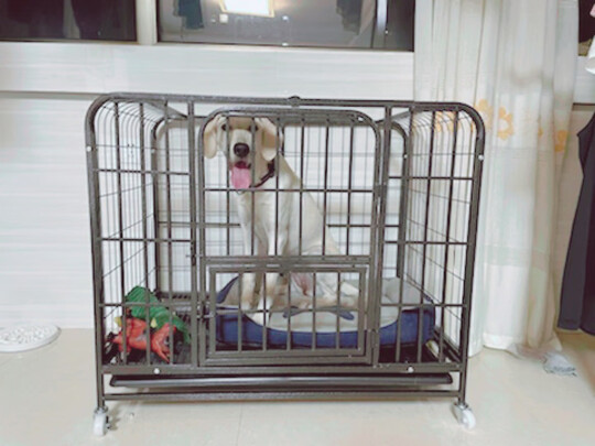  狗笼